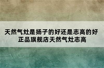 天然气灶是扬子的好还是志高的好 正品旗舰店天然气灶志高